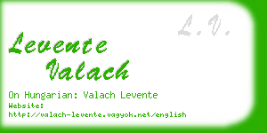 levente valach business card